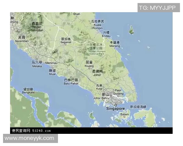 柔佛新山晋级形势分析及未来发展趋势探讨