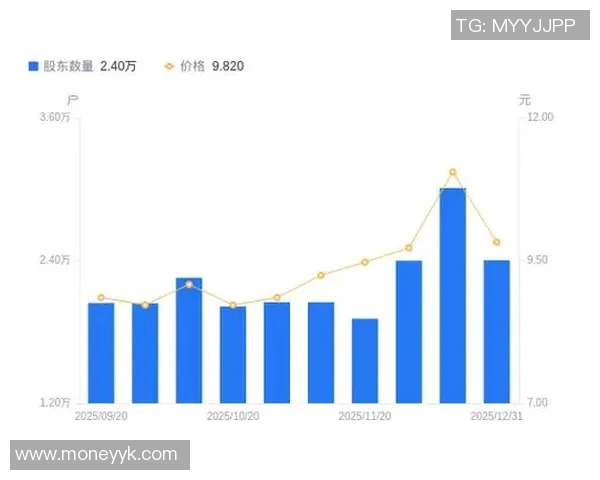 福建浔兴股份跻身福建省百强民营企业的成功之路